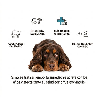 Miwoo™ Masajeador Antiestrés para Mascotas