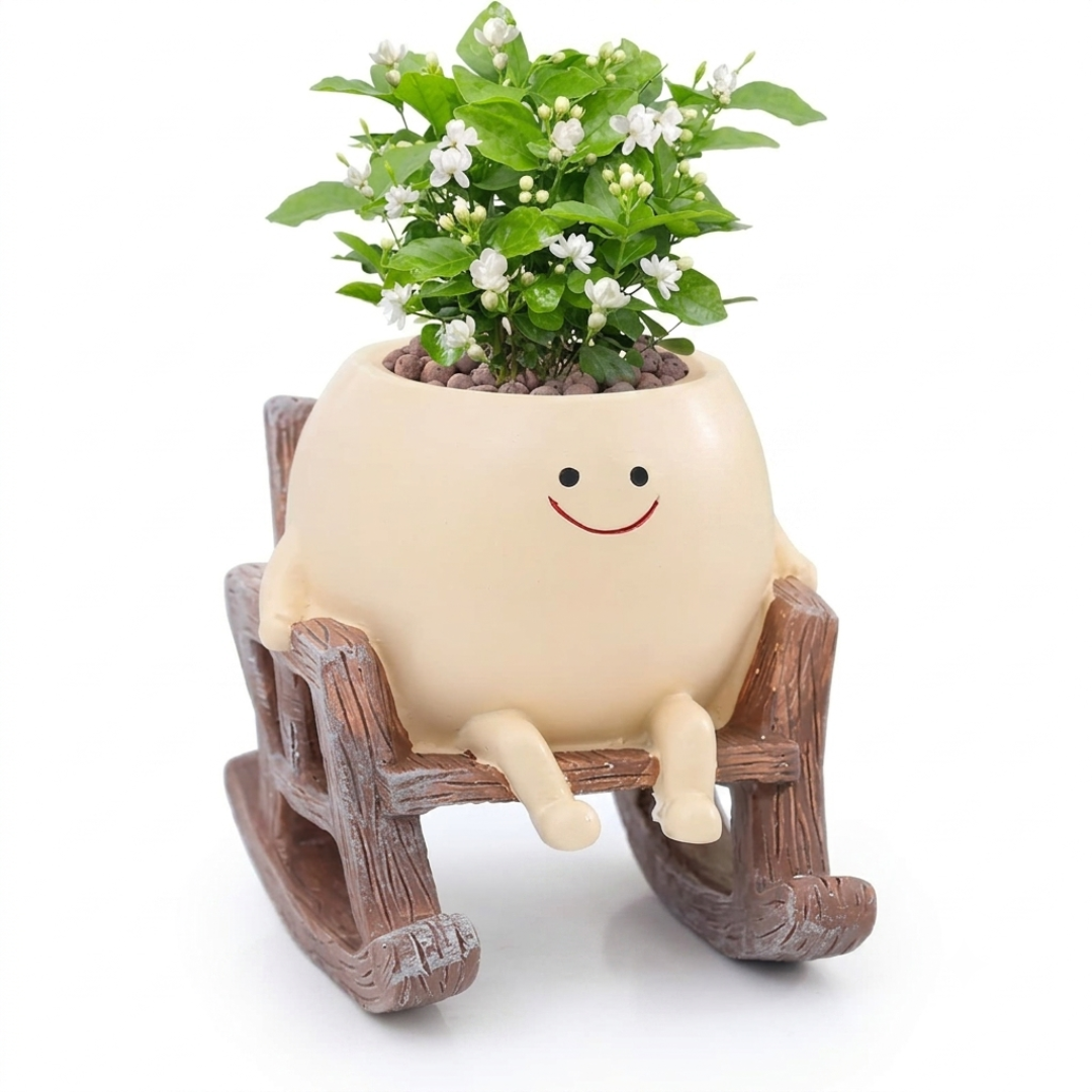 Plantify™ - Maceta Decorativa